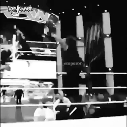 امیرستوده رومن رینز