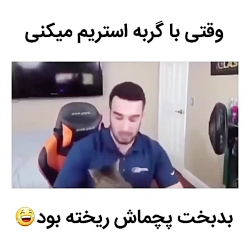 وقتی با گربه استریم میکنی _
