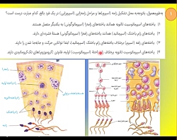 ویدیو حل تست گفتار 1 فصل 7 زیست یازدهم