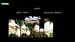 سریال چارخونه - قسمت 2