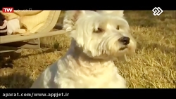 فیلم سینمایی پرستار ممنوع با د...