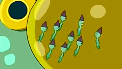 کارتون وقت ماجراجویی فصل اول-...