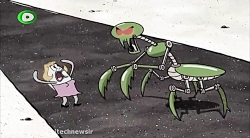 کارتون باب اسفنجی باب اسفنجی