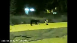 کلیپ طنز و خنده دار !!!!