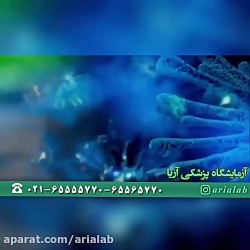 نکات کلیدی در مورد ویروس کرونا