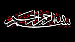 نماهنگ به مناسبت شهادت حضرت زی...