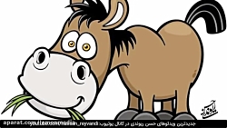 حسن ریوندی - خر شناسی از دیدگا...