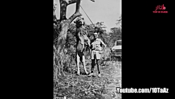 ۶ تا از مخوف ترین موجوداتی که...