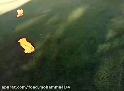 کلیپ فوتبال 96-95 دبیرستان مهر...