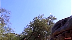 مبارزه حیوانات حیات وحش - راز...