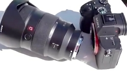 دیانا دیانا