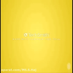 Family and friends 5-Ms.Soodeh