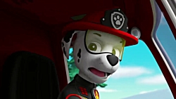 کارتون سگ های‌ نگهبان