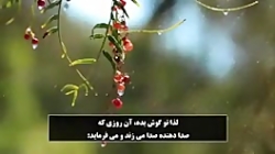 تلاوت قرآن مجید قاری ادریس ابک...