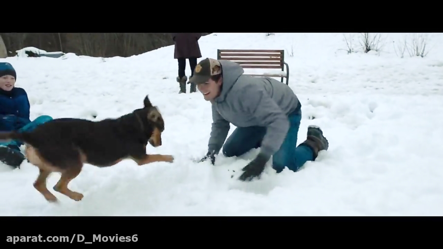 فیلم مسیر بازگشت یک سگ به خانه A Dogs Way Home دوبله فارسی زمان5728ثانیه