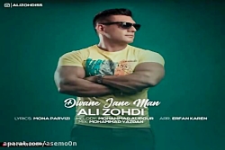 آهنگ علی زهدی - دیوانه جان من