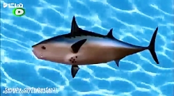 باب اسفنجی قسمت 9