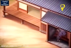 برنامه کودک دهه شصتی ها بسیار...