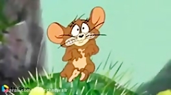 کارتون تام و جری  تام و جری