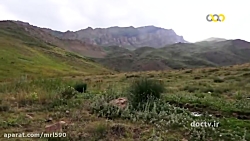 مستند اسرار حیات وحش ایران، گو...