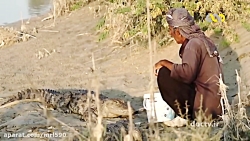 مستند اسرار حیات وحش ایران، گا...