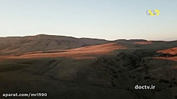 مستند گربه سانان  اسرار حیات و...