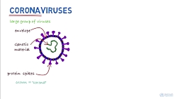 علایم کرونا.همه چیز درباره کرو...