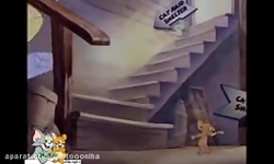 کارتون تام و جری  تام و جری