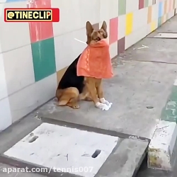 ترس از کرونا برای شمانیست دوست...