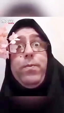 معلم های فان