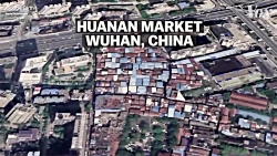 راز های پنهان پشت پرده ویروس ک...