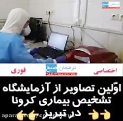 نخستین ویدیوی منتشر شده از مرک...