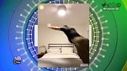 فان فوتبال ۱۲۰-۱۵  اسفند ۹۸