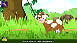 موش شهری و موش روستایی | داستا...