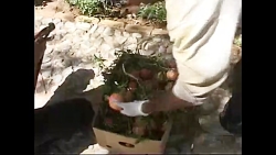 پشت صحنه مختار نامه 1