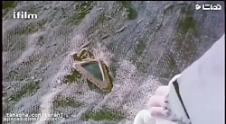 علیرضا شجاع نوری در " روز...