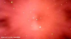 کارتون پلنگ صورتی قسمت ۱