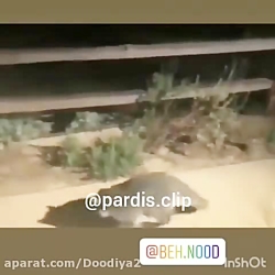 کلیپ فوق العاده بامزه