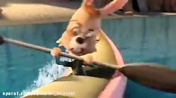 دانلود کارتون سینمایی || لاکپش...