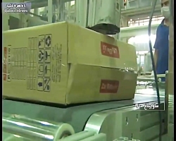 ویدیوی منتشر شده منتسب به زرما...