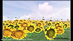 کلیپ گل آفتابگردون - گروه آریا...