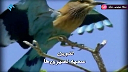 خانه به دوش - قسمت ۱۴