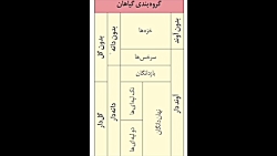 زیست دهم-دیواره یاخته ای
