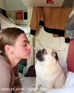 طنز بسیار جالب