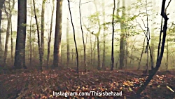 چشمهایش  بزرگ علوی