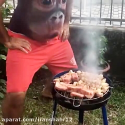 کلیپ طنزو خنده دار !!!!