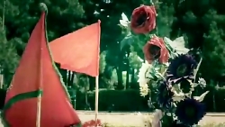 یه راهه که پایان نداره شهادت ن...