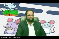 سال موش طنز ترکی