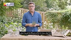 آموزش پرورش گیاهان هوازی201