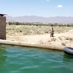 بعد از رهایی از قرنطینه  عااال...